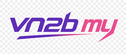 vn2b my logo